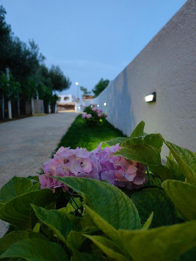 Apartment White Pearl Ražanac Esterno foto
